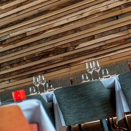 Hotel Montanus 